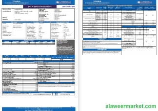 INDIA TPWODL business utility bill Word and PDF template